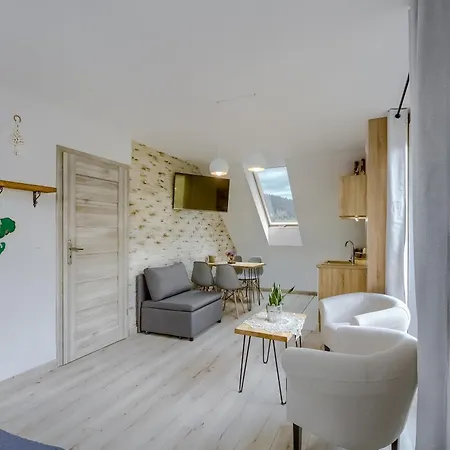 Apartamenty Polana Bradowiec Tylicz Exterior foto